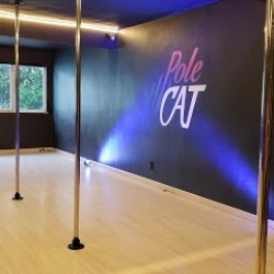 Pole Cat