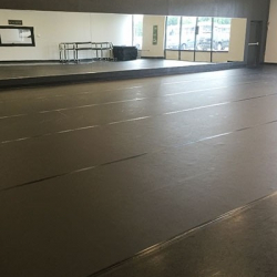 The Dance Avenue