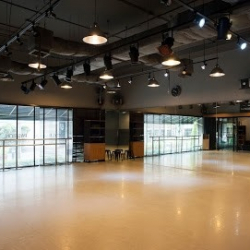 Studio Zoom