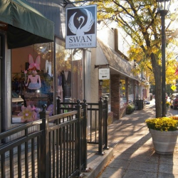 Swan Dancewear